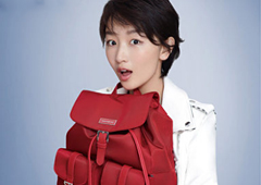 Samsonite